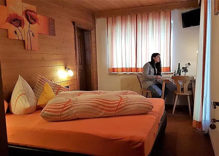 戈尔尼韦苏尔公寓 公寓 *